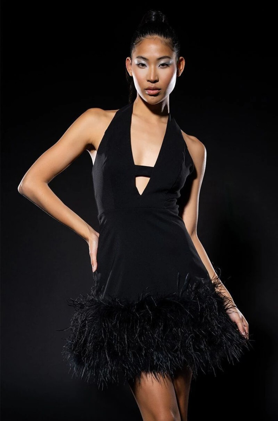 Party Dresses * | Noel Deep V Feather Trim Mini Dress Black